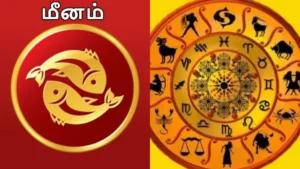meenamrasi-90461788173791