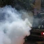 mosquito-2026-08-aec082fe29b20c070779049ba0eb6b3b-1200x800-1