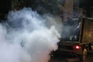mosquito-2026-08-aec082fe29b20c070779049ba0eb6b3b-1200x800-1