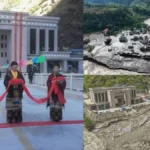 nepachina-71631787838117