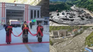 nepachina-71631787838117