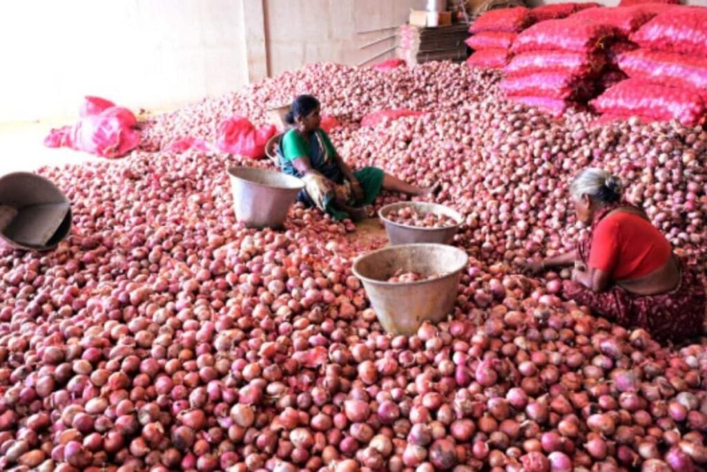 onion-2026-08-609936debd41ce35fd8f9b8d4e1f7988-1200x800-1