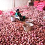 onion-2026-08-609936debd41ce35fd8f9b8d4e1f7988-1200x800-1