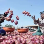 onionbanner-89211787549611