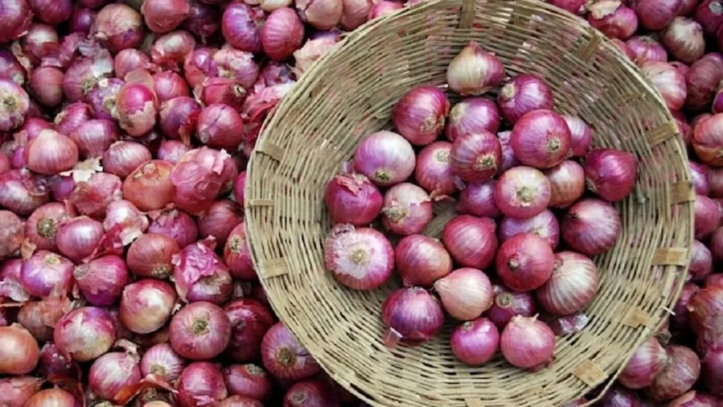 onionr-11701788188583