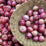 onionr-11701788188583