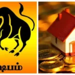 rishabamfea2-25621788070084