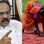 sivakasithankga-71231786612428