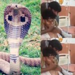 snake-bite-feature-image-2026-08-420924ca99aa5260b92c3fc56b484ef8-1200x800-1