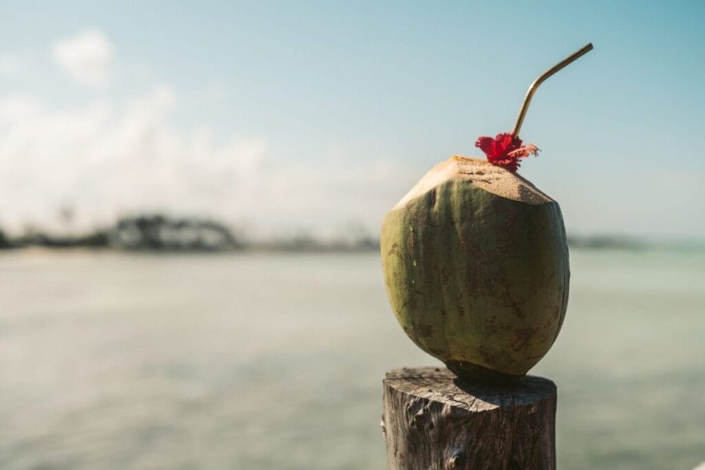 tender-coconut-3-2026-08-7178a206ef8124ab6012ee1f32ce0c03-1200x800-1