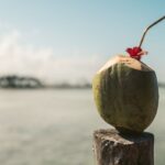 tender-coconut-3-2026-08-7178a206ef8124ab6012ee1f32ce0c03-1200x800-1