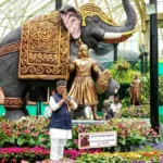 threelalbagh-styleparks-34121786029452