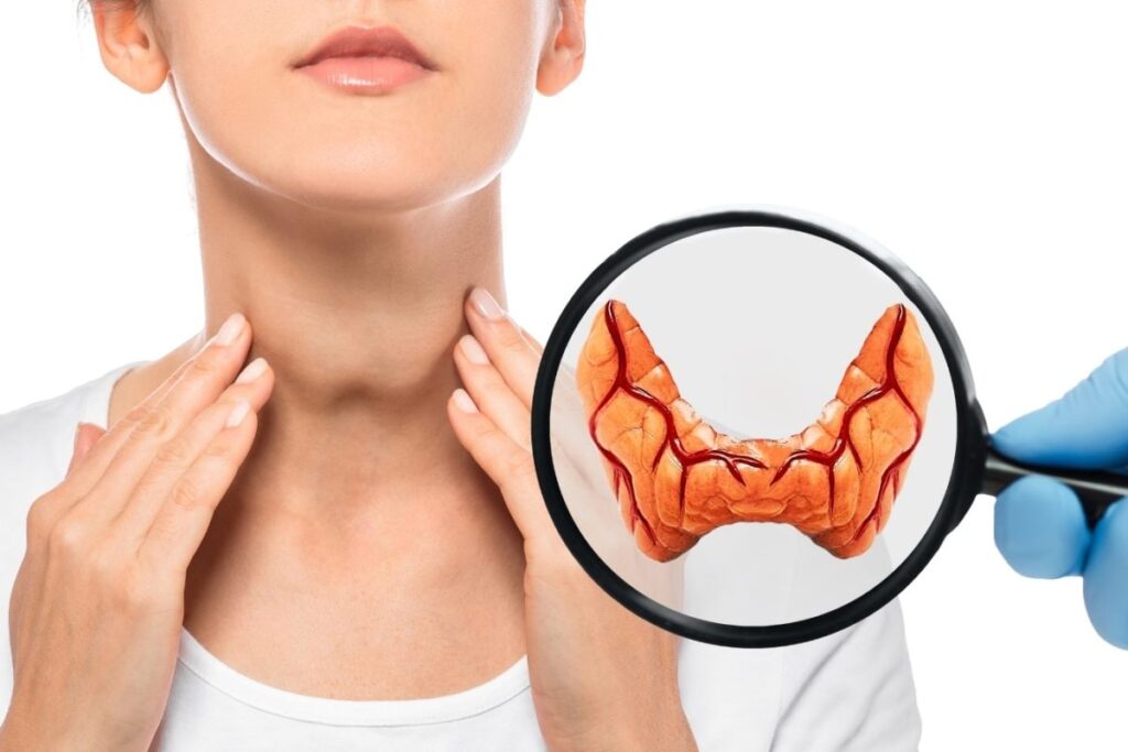 thyroid-1-2026-08-1665abb6f135982428fff2e80e8a2088-1200x800-1