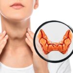 thyroid-1-2026-08-1665abb6f135982428fff2e80e8a2088-1200x800-1