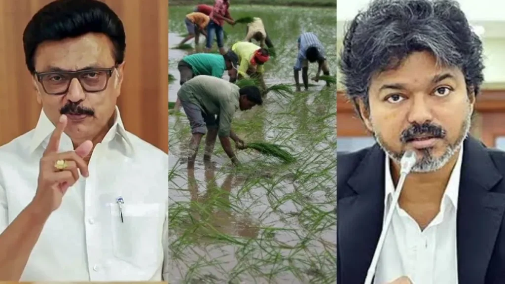 tvkstalin-57801785763251