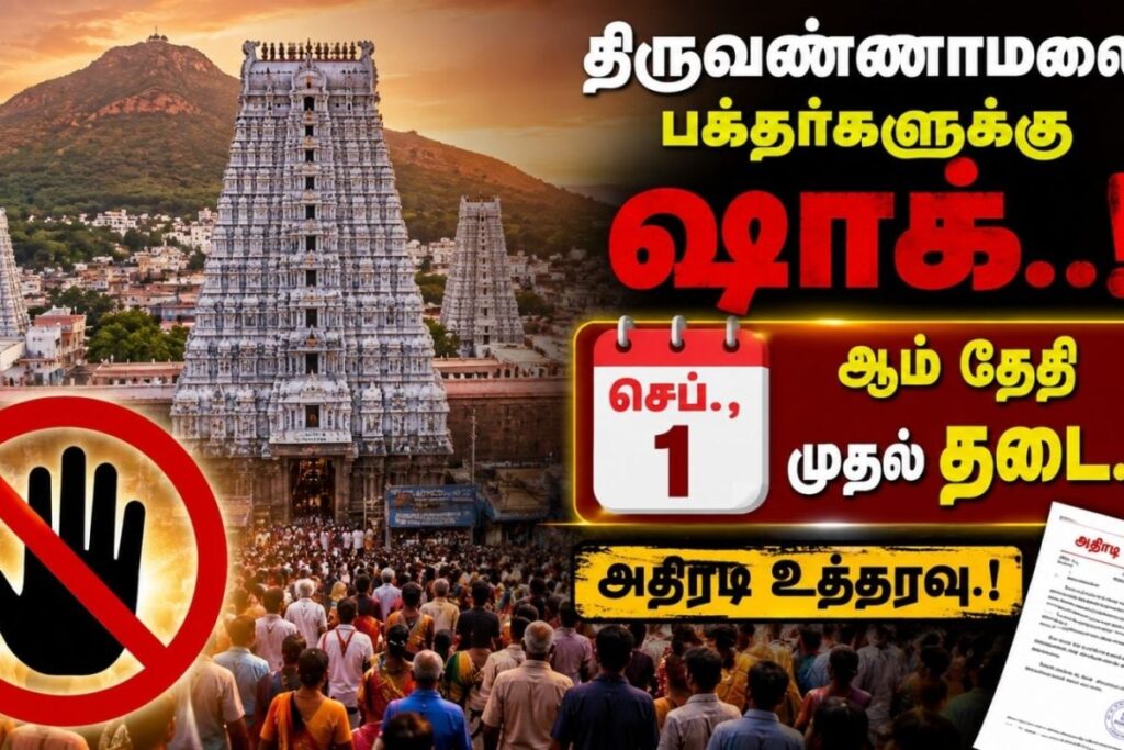 tvm-2026-08-46785851cd42416e52267021f1b0b02e-1200x800-1