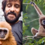 vikramlargibbons-81391786614435