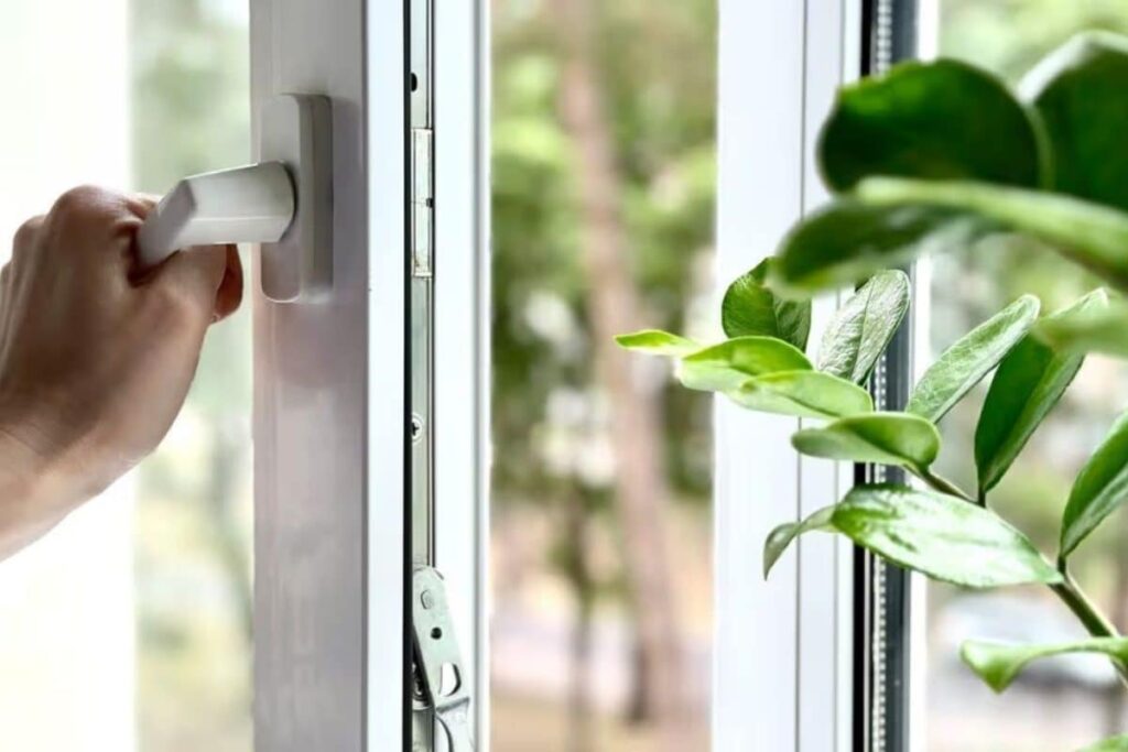 window-2026-08-a07e96a64961fcee5b3d61dfb169057b-1200x800-1