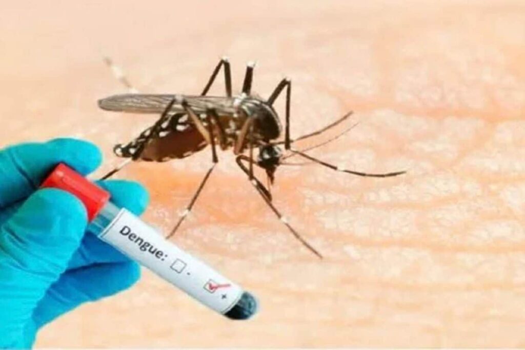 Dengue-2026-09-8db4464365c82e980507afee0c91c0d0-1200x800-1