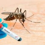 Dengue-2026-09-8db4464365c82e980507afee0c91c0d0-1200x800-1