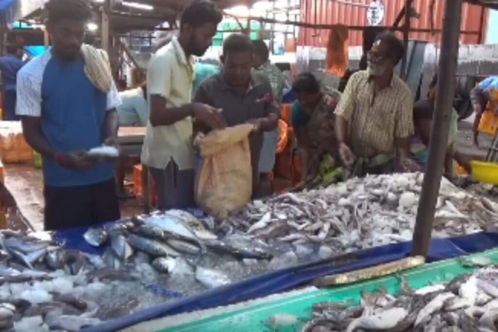 Fish-market-2026-09-0a73019f23af86a5e7a7edef8b8e667e-1200x800-1