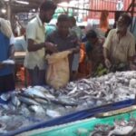 Fish-market-2026-09-0a73019f23af86a5e7a7edef8b8e667e-1200x800-1