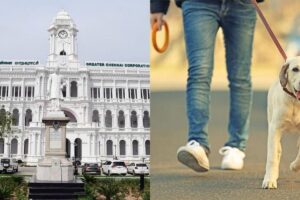 chennai-2026-09-3c979ee49a6a17ca7f5c3f5f166af989-1200x800-1