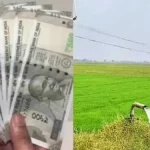 collage-20911788580622