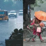 collage-35921790300386