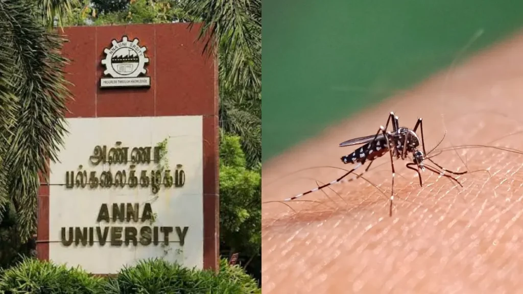 dengue-90521789746541