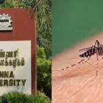dengue-90521789746541