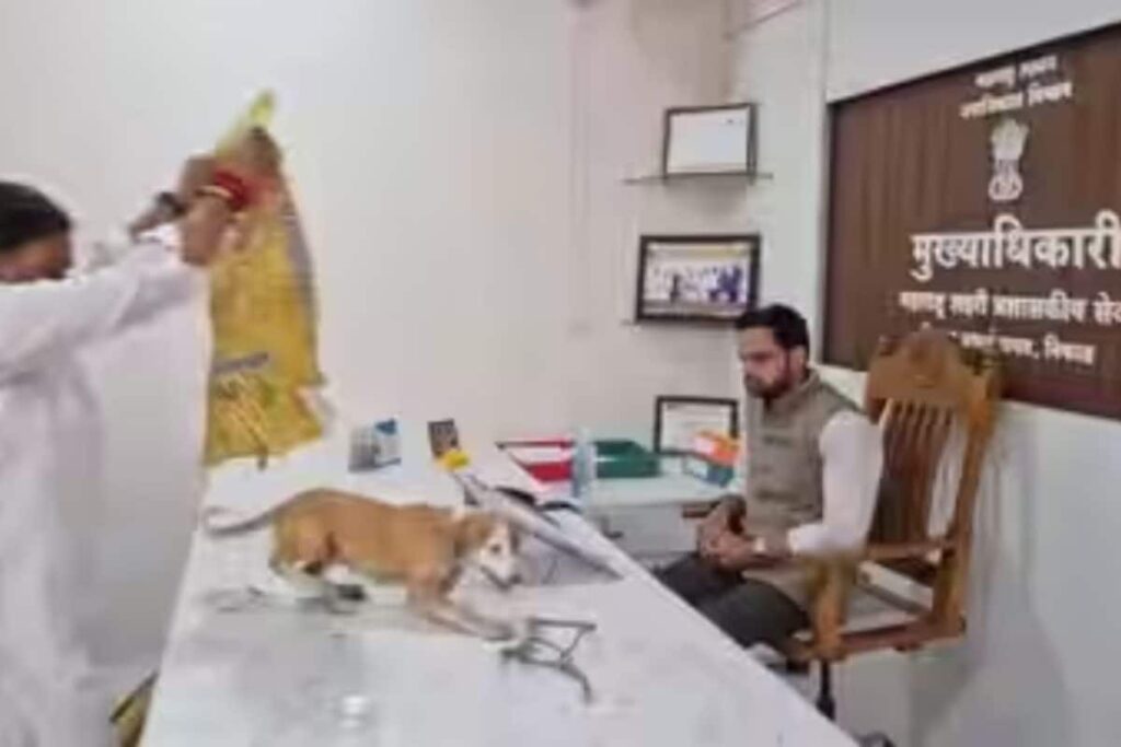 dog-issue-2026-09-6ae059cf3f4188ba9a9cd91970e16b9b-1200x800-1