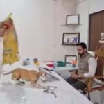 dog-issue-2026-09-6ae059cf3f4188ba9a9cd91970e16b9b-1200x800-1