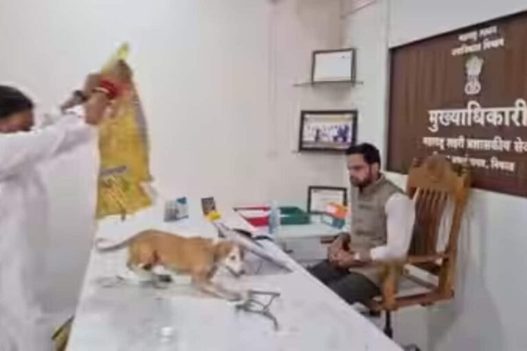 dog-issue-2026-09-6ae059cf3f4188ba9a9cd91970e16b9b-1200x800-1