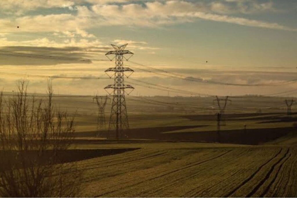 forest-power-line-2026-07-666e3a8bbc56189f5b6ea911aeee6d2f-1200x800-1