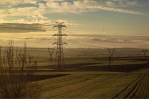 forest-power-line-2026-07-666e3a8bbc56189f5b6ea911aeee6d2f-1200x800-1
