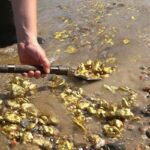 gold-2026-09-8b73757ee85a4deb8dd01b8d02a52743-1200x800-1