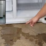leak-1-2026-09-ff08d5dea46cc44e29dfadcca7ebcff1-1200x800-1