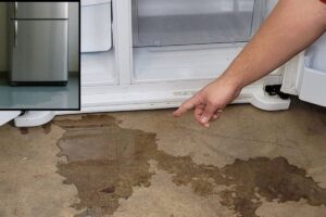 leak-1-2026-09-ff08d5dea46cc44e29dfadcca7ebcff1-1200x800-1