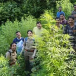 palakad-85681789820131