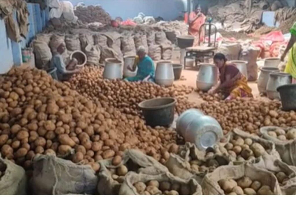 potato-2026-09-6f1fa44764e90f1b788b5c8da9ba7430-1200x800-1