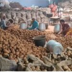 potato-2026-09-6f1fa44764e90f1b788b5c8da9ba7430-1200x800-1