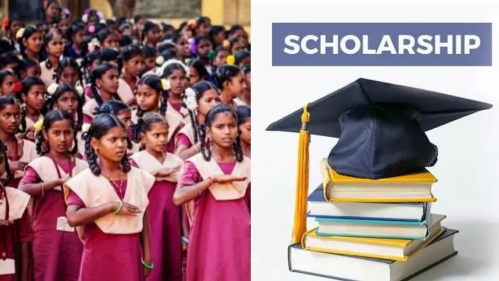 schoolscholar-28541788876095