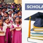 schoolscholar-28541788876095