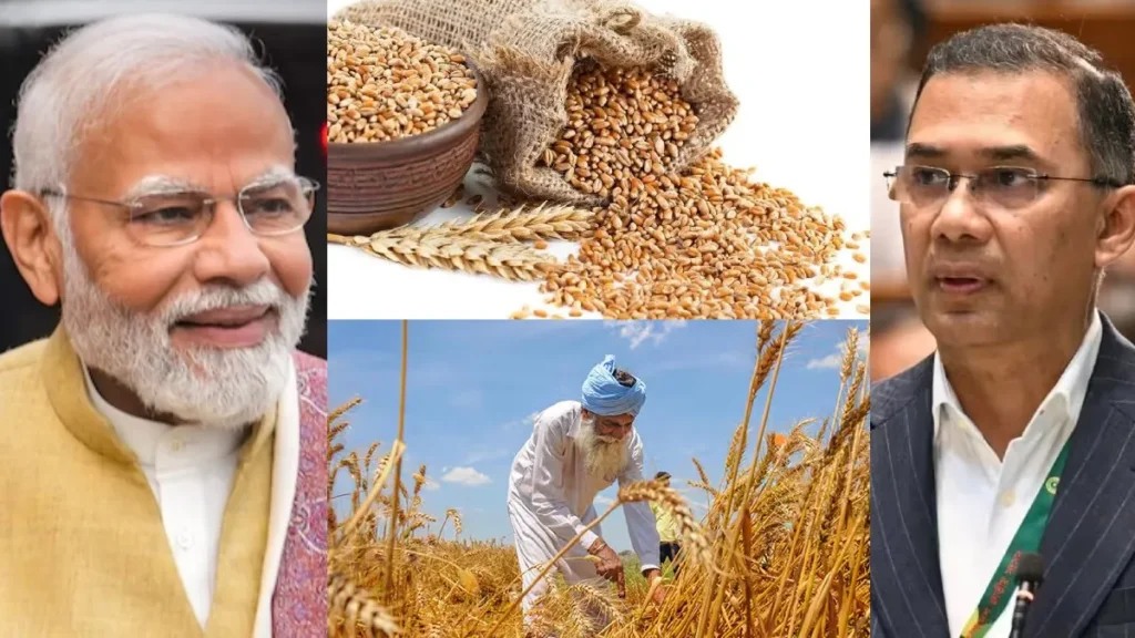 wheat1-63691790495307