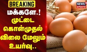 1793449944_1d07e0ac-7551-4dea-9965-3c13fff334d0-1200x720-1