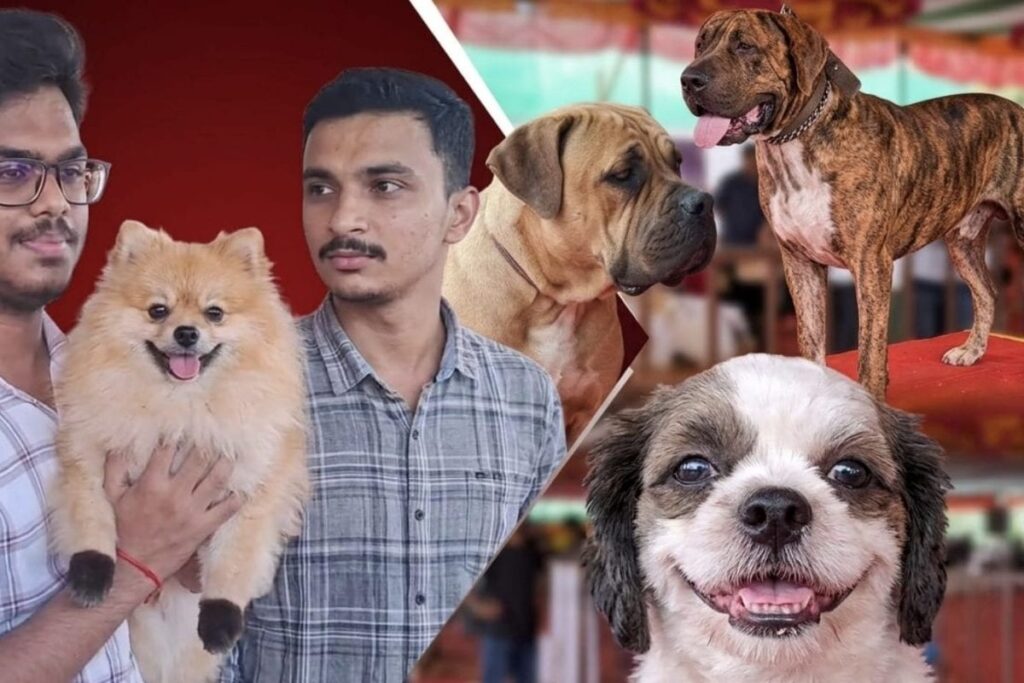 Dog-Show-2026-10-95c84742551059e176dbfe85cbf49543-1200x800-1
