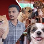 Dog-Show-2026-10-95c84742551059e176dbfe85cbf49543-1200x800-1