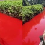 Red-Water-2026-10-0b90eef74a91ff9276c9e377efe71d98-1200x800-1