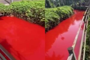 Red-Water-2026-10-0b90eef74a91ff9276c9e377efe71d98-1200x800-1